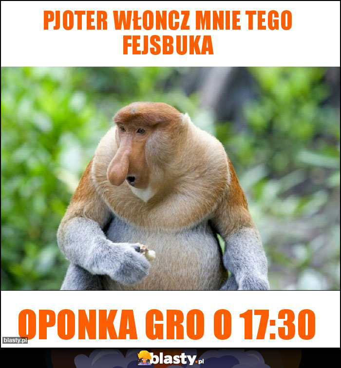 Pjoter włoncz mnie tego fejsbuka Pjoter włoncz mnie tego fejsbuka