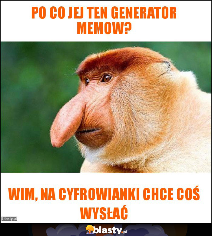 Po co jej ten generator memow?