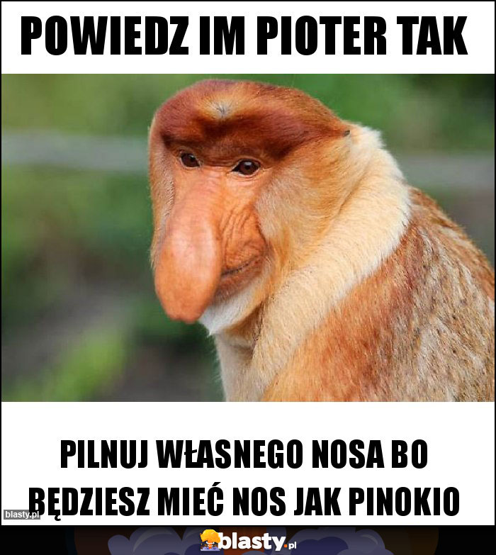 Powiedz im pioter tak Powiedz im pioter tak
