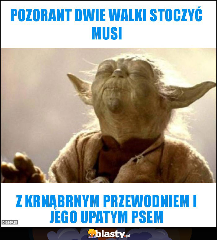 Pozorant dwie walki stoczyć musi Pozorant dwie walki stoczyć musi