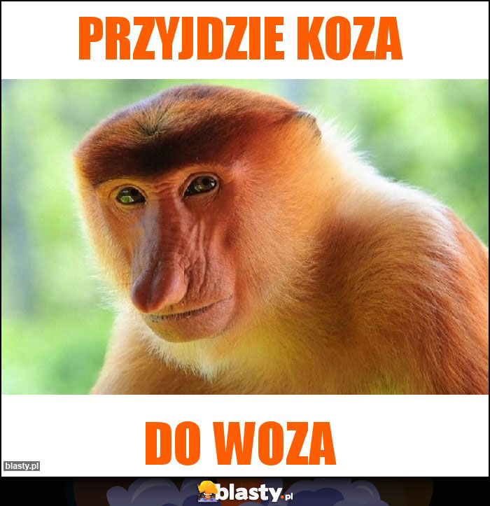PRZYJDZIE KOZA