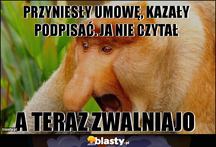 przyniesły umowę, kazały podpisać. ja nie czytał przyniesły umowę, kazały podpisać. ja nie czytał