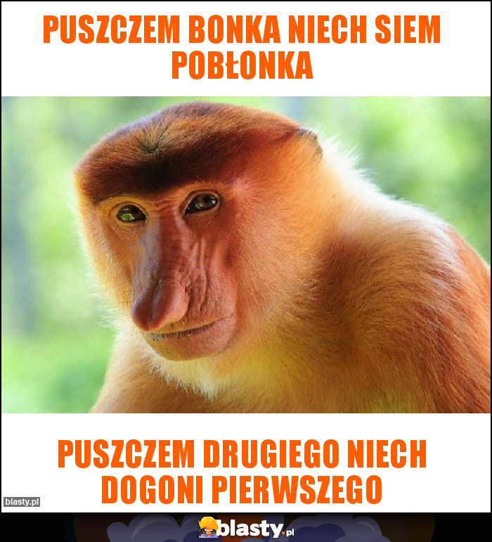 Puszczem bonka niech siem pobłonka Puszczem bonka niech siem pobłonka