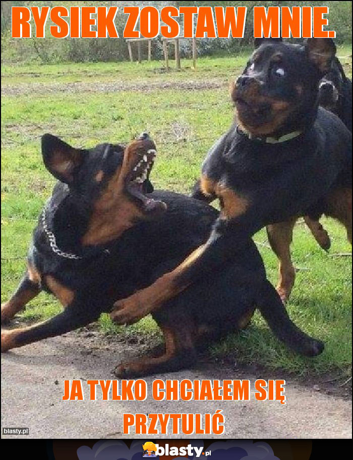 Rysiek zostaw mnie. Rysiek zostaw mnie.