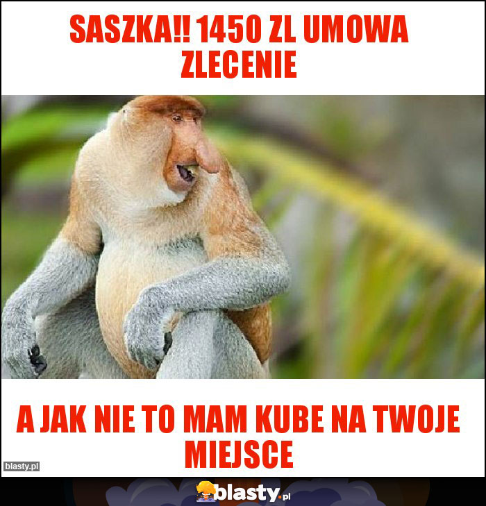 SASZKA!! 1450 ZL UMOWA ZLECENIE SASZKA!! 1450 ZL UMOWA ZLECENIE
