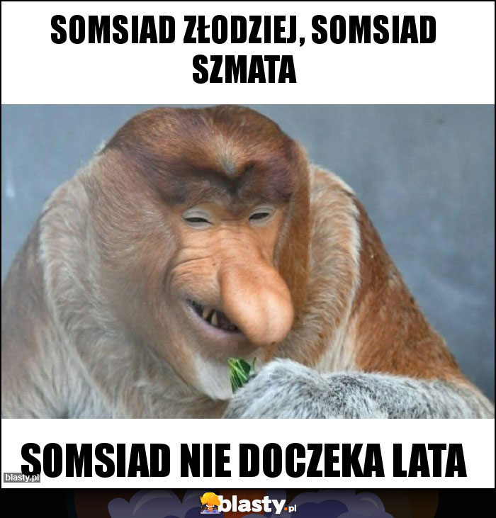 Somsiad złodziej, somsiad szmata Somsiad złodziej, somsiad szmata