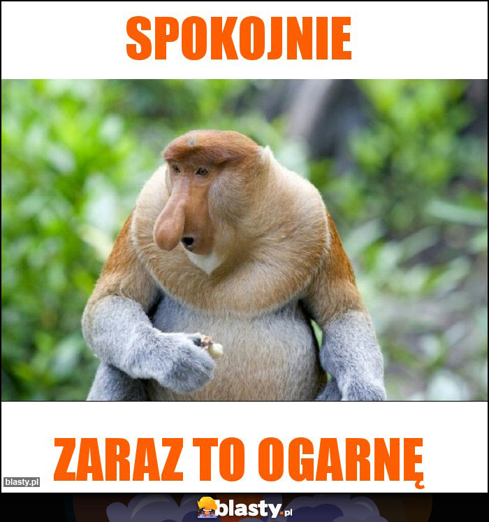 SPOKOJNIE
