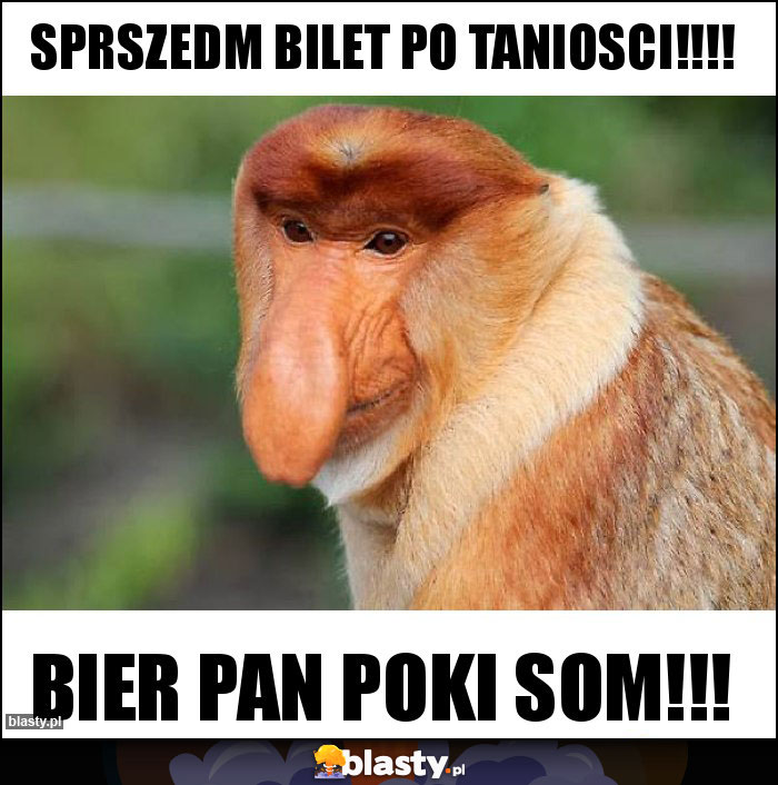 SPRSZEDM BILET PO TANIOSCI!!!! SPRSZEDM BILET PO TANIOSCI!!!!