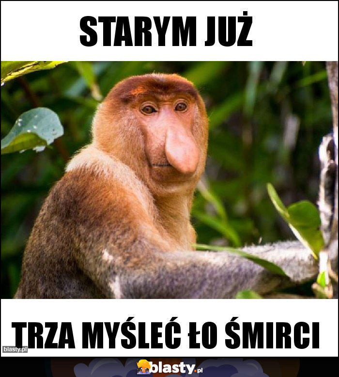 Starym już Starym już
