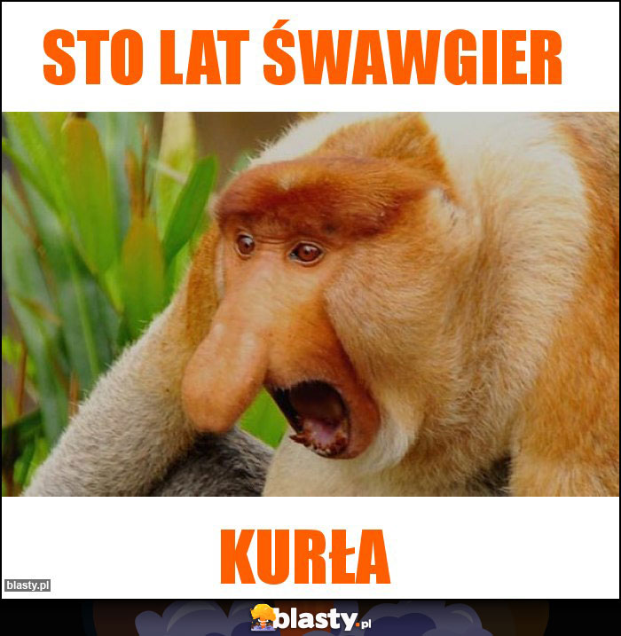 Sto lat Śwawgier Sto lat Śwawgier