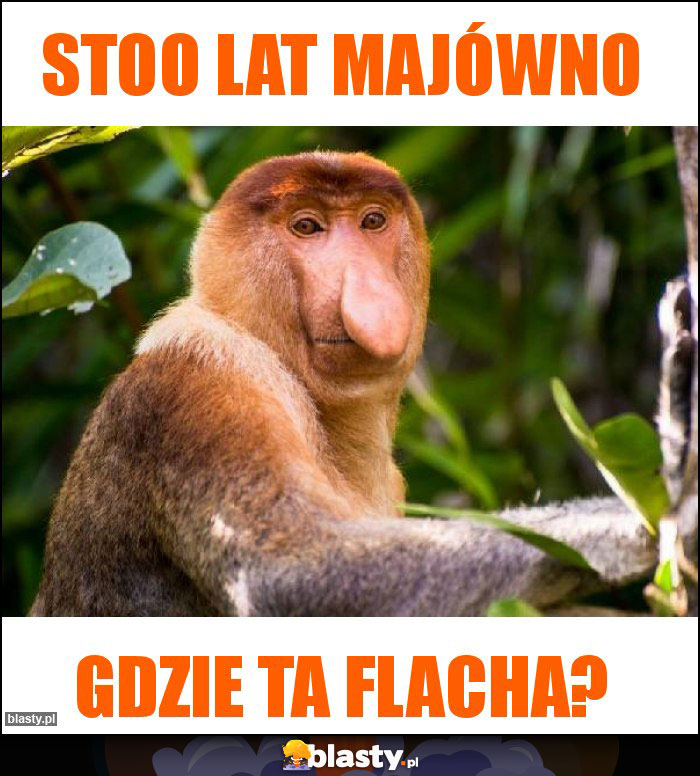Stoo lat majówno Stoo lat majówno