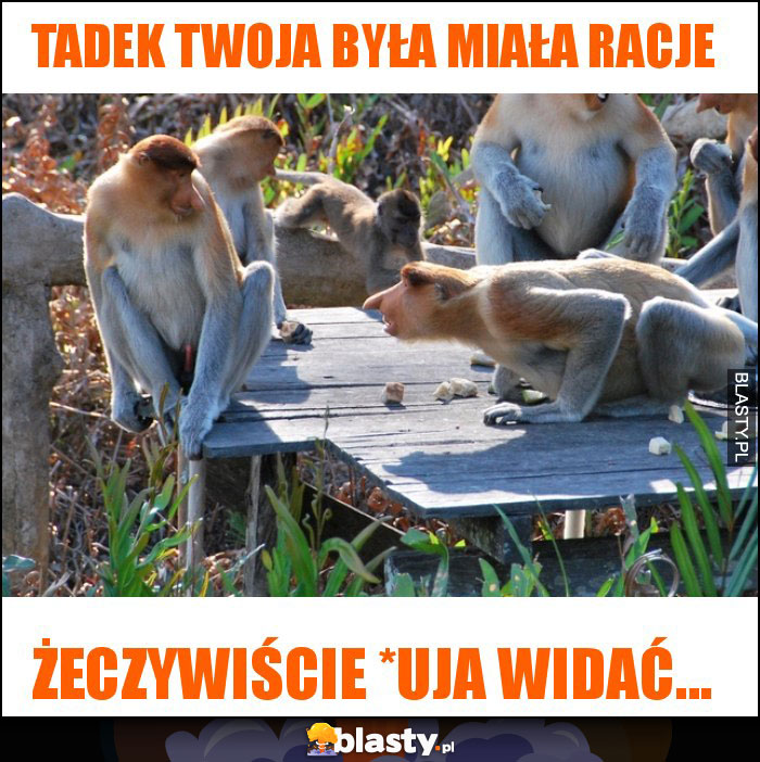 tadek twoja była miała racje tadek twoja była miała racje