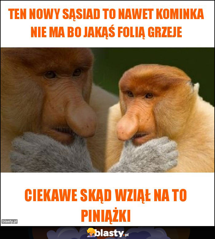 TEN NOWY SĄSIAD TO NAWET KOMINKA NIE MA BO JAKĄŚ FOLIĄ GRZEJE TEN NOWY SĄSIAD TO NAWET KOMINKA NIE MA BO JAKĄŚ FOLIĄ GRZEJE