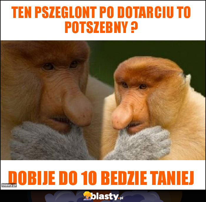 Ten pszeglont po dotarciu to potszebny ? Ten pszeglont po dotarciu to potszebny ?