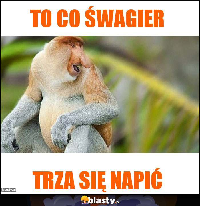 To co śwagier To co śwagier