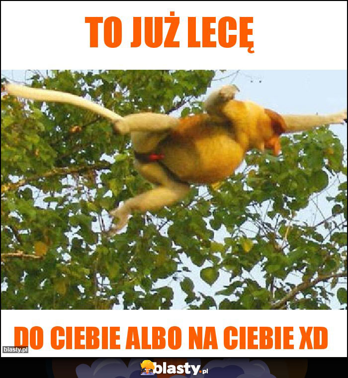 To już lecę To już lecę