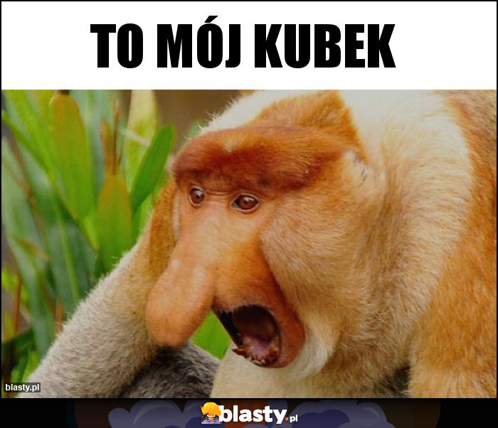 to mój kubek to mój kubek