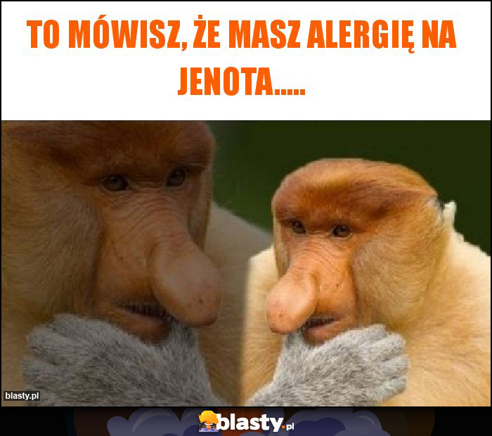 To mówisz, że masz alergię na jenota..... To mówisz, że masz alergię na jenota.....