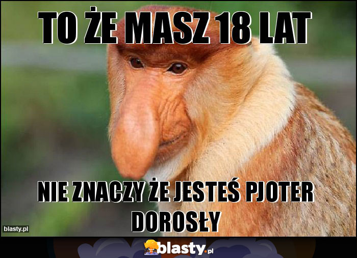 TO ŻE MASZ 18 LAT TO ŻE MASZ 18 LAT