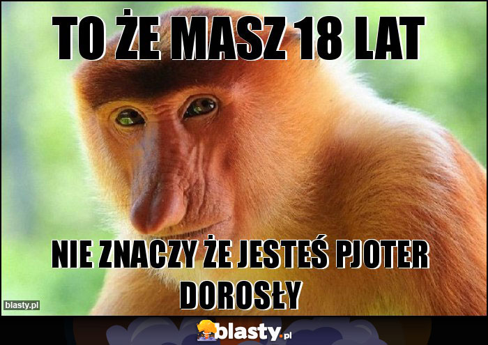 TO ŻE MASZ 18 LAT TO ŻE MASZ 18 LAT