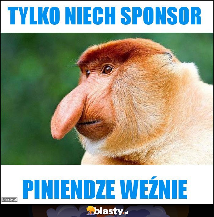 Tylko niech sponsor Tylko niech sponsor