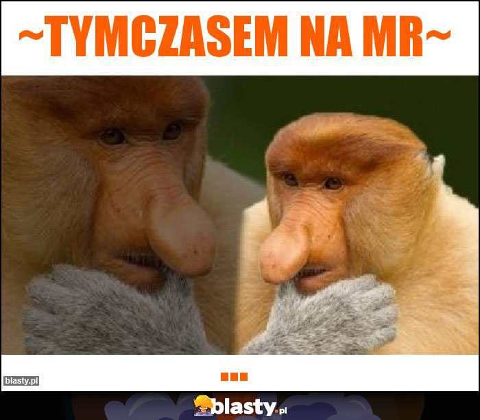 ~TYMCZASEM NA MR~ ~TYMCZASEM NA MR~
