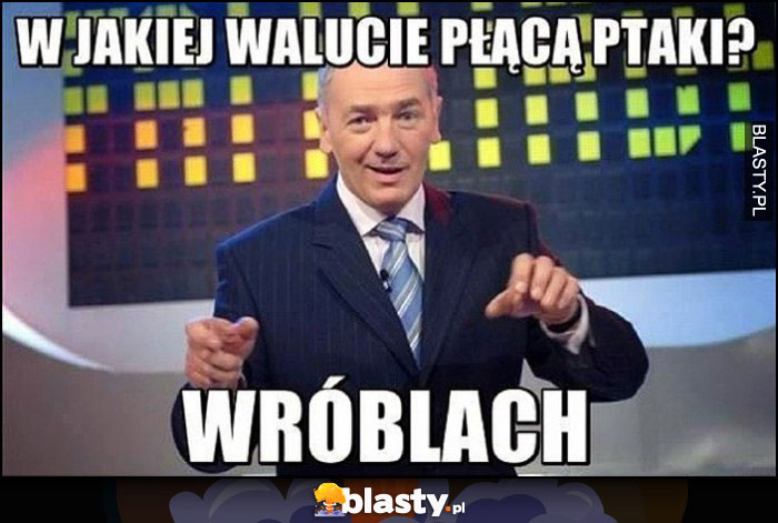 W jakiej walucie płacą ptaki wróblach familiada Strasburger suchar