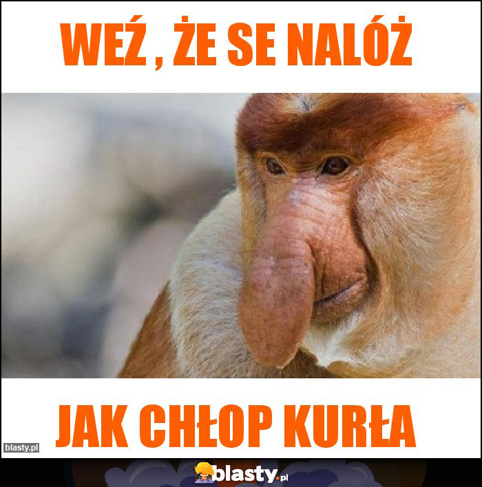 Weź , że se nalóż Weź , że se nalóż