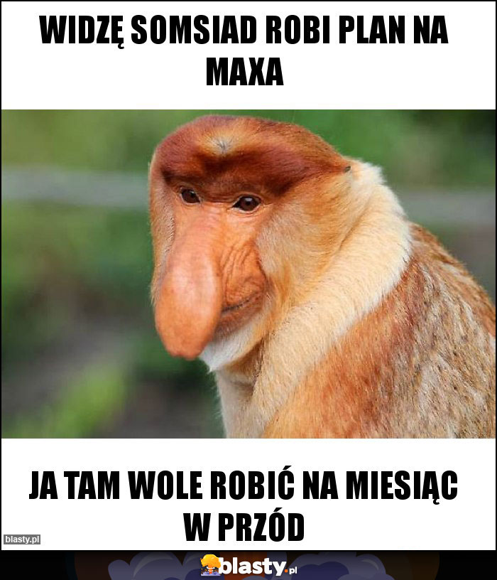Widzę Somsiad robi plan na maxa