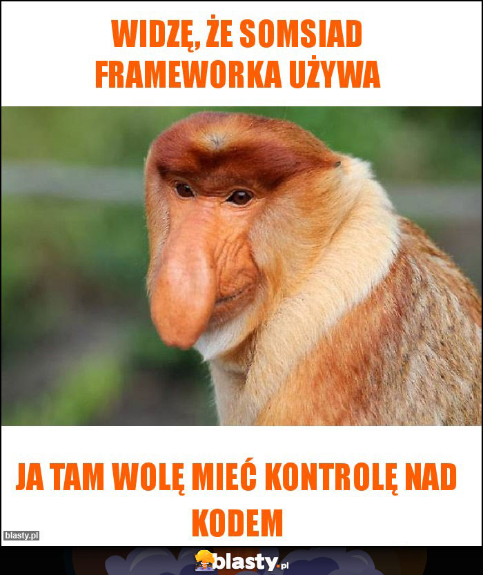 Widzę, że somsiad frameworka używa Widzę, że somsiad frameworka używa