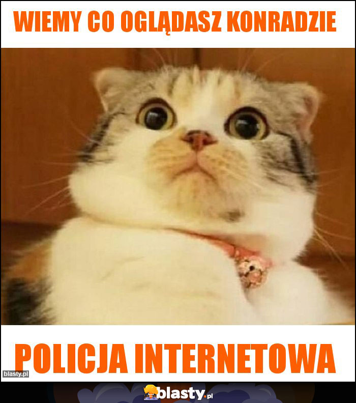 Wiemy co oglądasz konradzie Wiemy co oglądasz konradzie