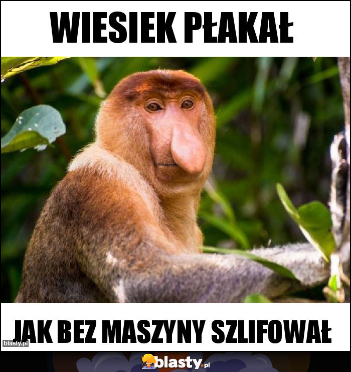 Wiesiek płakał Wiesiek płakał
