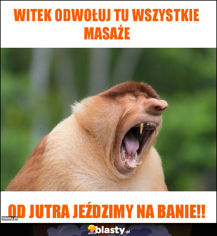 WITEK ODWOŁUJ TU WSZYSTKIE MASAŻE WITEK ODWOŁUJ TU WSZYSTKIE MASAŻE