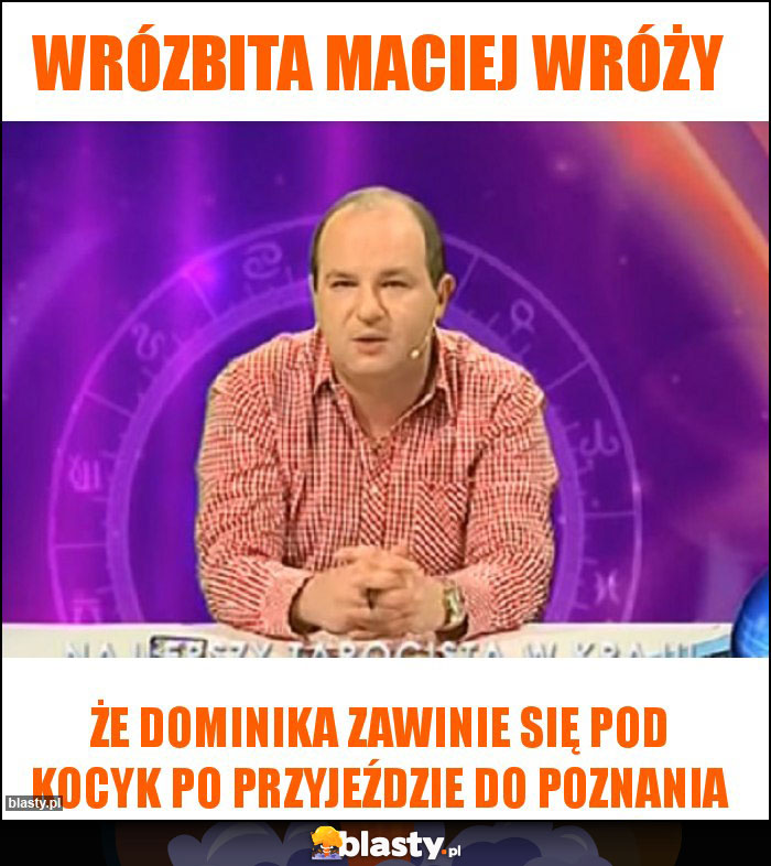 Wrózbita maciej wróży Wrózbita maciej wróży