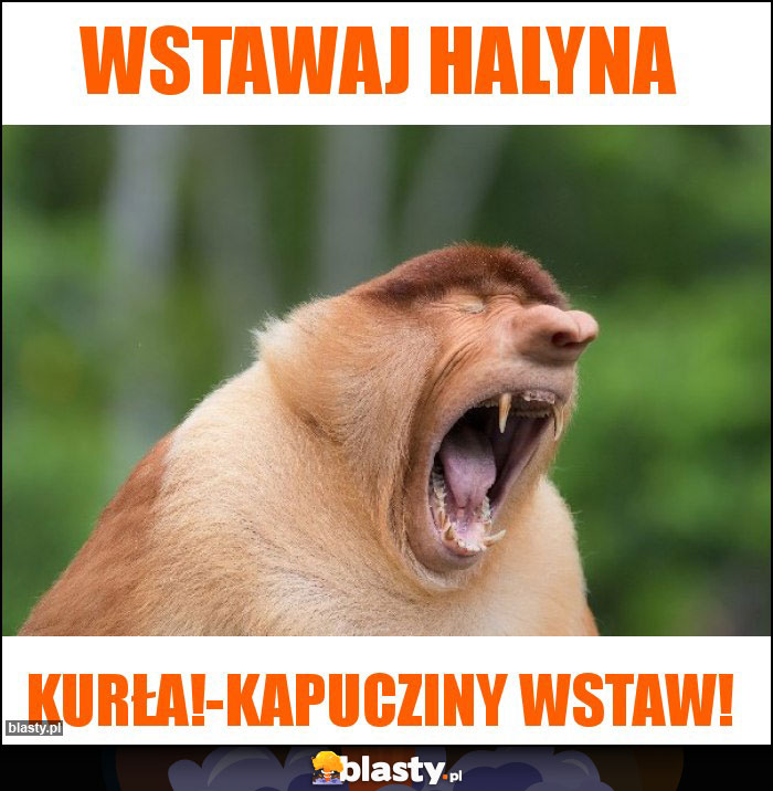 Wstawaj Halyna Wstawaj Halyna