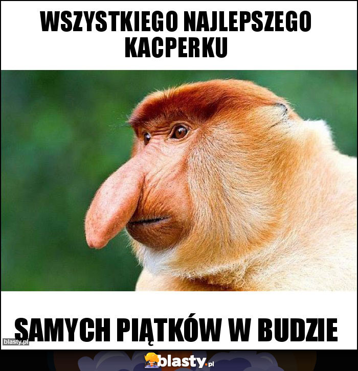 WSZYSTKIEGO NAJLEPSZEGO KACPERku