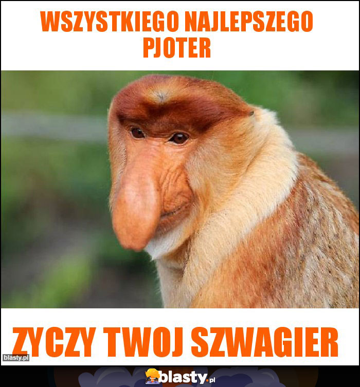 Wszystkiego najlepszego pjoter