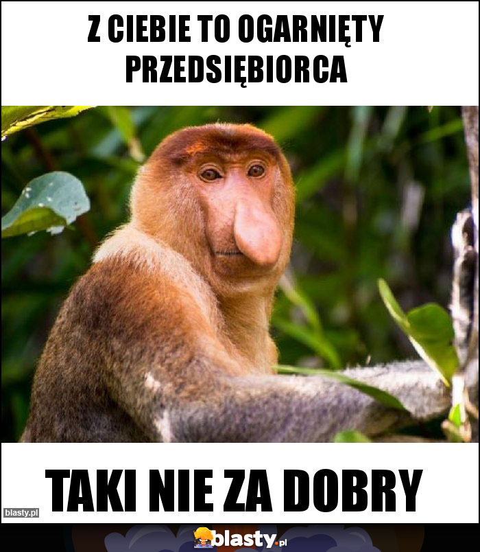 Z Ciebie to ogarnięty przedsiębiorca Z Ciebie to ogarnięty przedsiębiorca