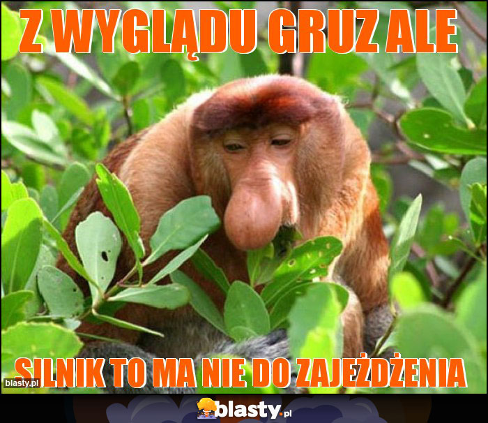 Z wyglądu gruz ALe Z wyglądu gruz ALe
