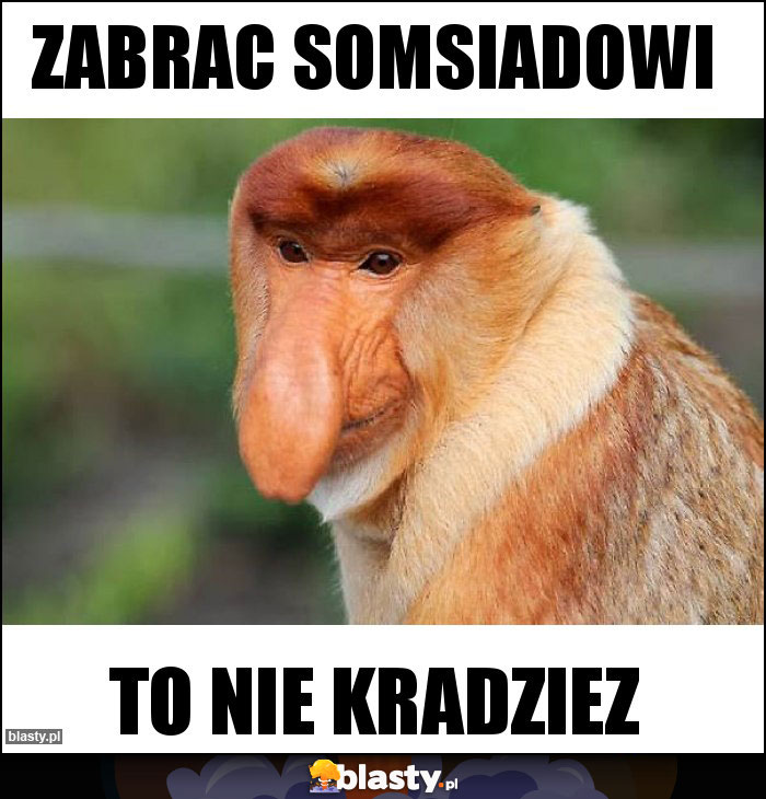 Zabrac somsiadowi Zabrac somsiadowi