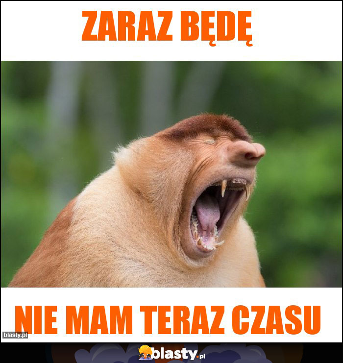 ZARAZ BĘDĘ ZARAZ BĘDĘ