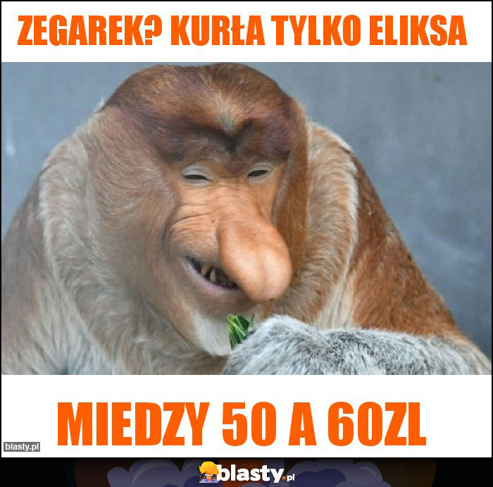 Zegarek? Kurła tylko eliksa Zegarek? Kurła tylko eliksa