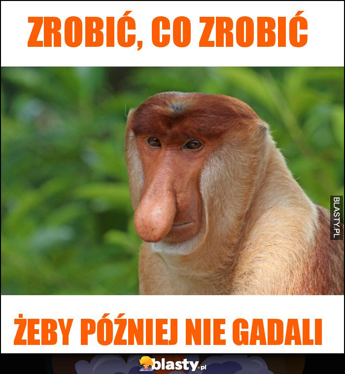 ZROBIĆ, CO ZROBIĆ ZROBIĆ, CO ZROBIĆ