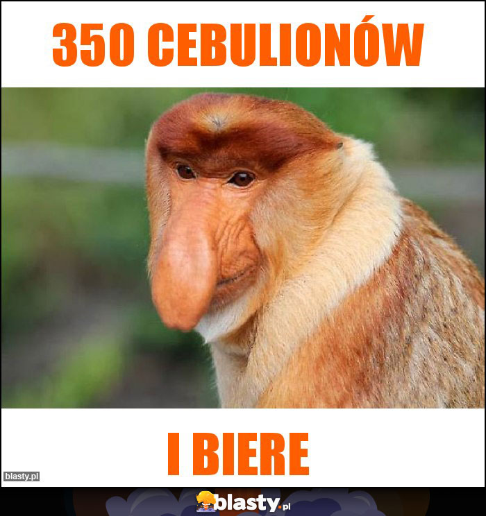 350 cebulionów 350 cebulionów