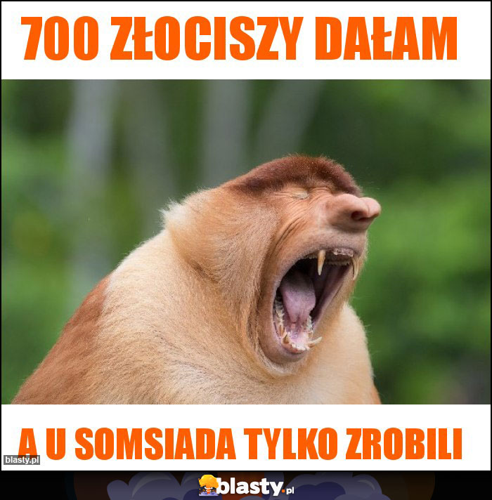 700 złociszy dałam 700 złociszy dałam