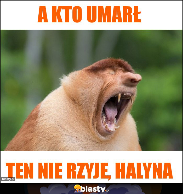 A kto umarł