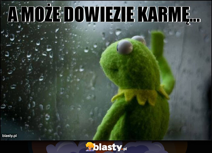 A może dowiezie karmę... A może dowiezie karmę...