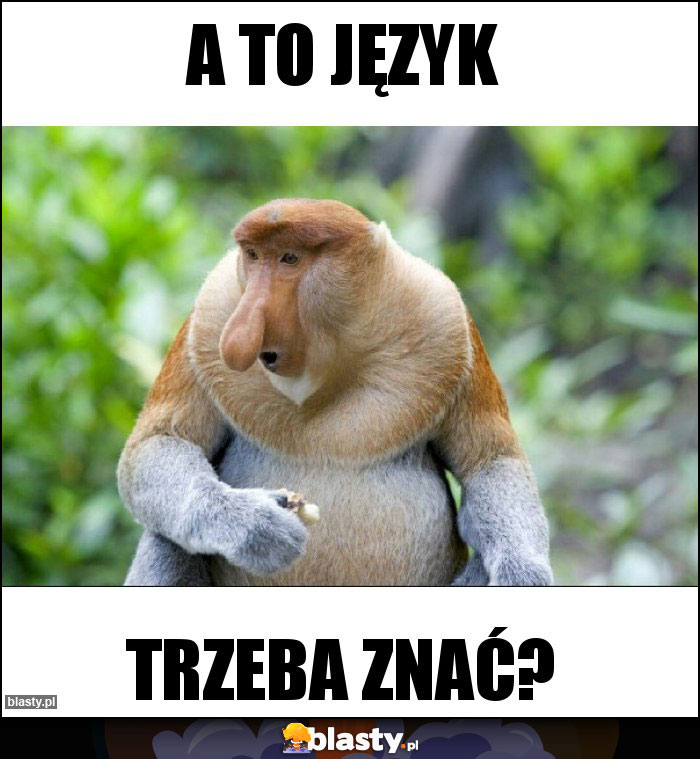 A to język A to język