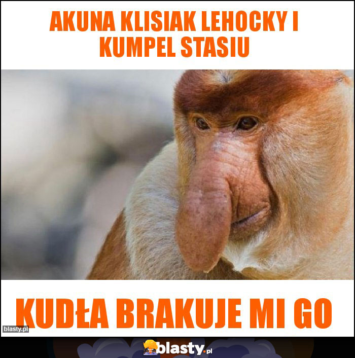 AKUNA klisiak lehocky i kumpel stasiu AKUNA klisiak lehocky i kumpel stasiu