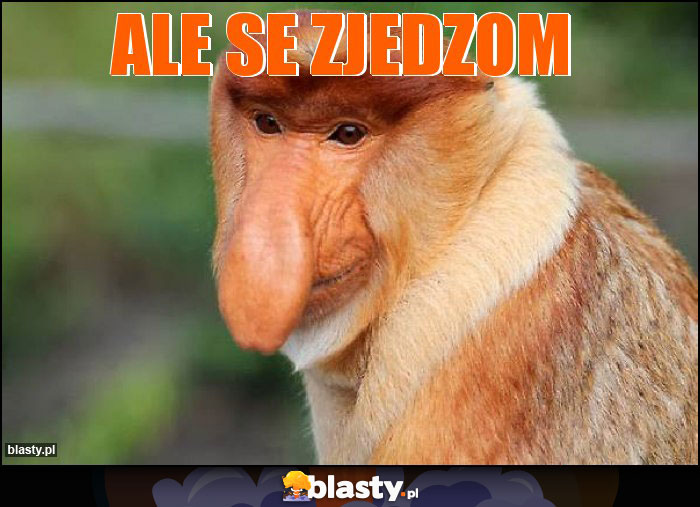 ALE SE ZJEDZOM ALE SE ZJEDZOM